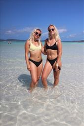 by kiwiaoraki, Views[91]