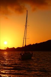 by kiwiaoraki, Views[86]