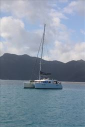 by kiwiaoraki, Views[97]