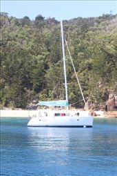 by kiwiaoraki, Views[100]