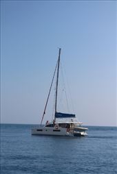 by kiwiaoraki, Views[100]