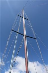 by kiwiaoraki, Views[104]