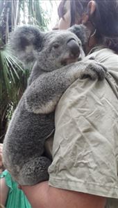 by kiwiaoraki, Views[84]