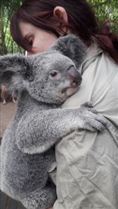 by kiwiaoraki, Views[87]