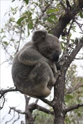 by kiwiaoraki, Views[197]