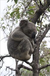 by kiwiaoraki, Views[214]