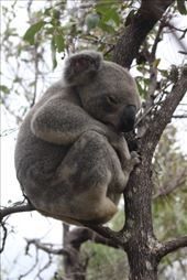 by kiwiaoraki, Views[216]