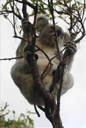 by kiwiaoraki, Views[194]