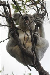 by kiwiaoraki, Views[196]