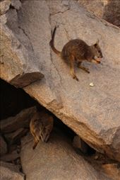 by kiwiaoraki, Views[213]