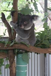 by kiwiaoraki, Views[83]