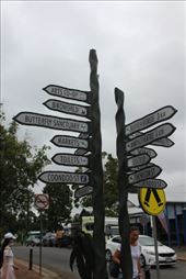 by kiwiaoraki, Views[246]