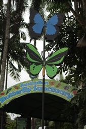 by kiwiaoraki, Views[196]