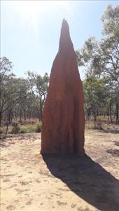 by kiwiaoraki, Views[98]