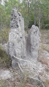 by kiwiaoraki, Views[79]