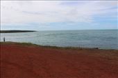by kiwiaoraki, Views[86]