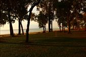 by kiwiaoraki, Views[117]
