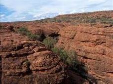 by kiwiaoraki, Views[225]