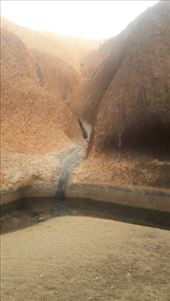 by kiwiaoraki, Views[100]