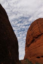 by kiwiaoraki, Views[73]