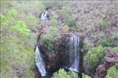 by kiwiaoraki, Views[209]