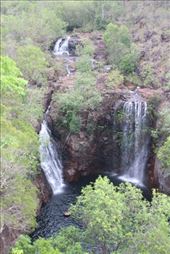 by kiwiaoraki, Views[170]