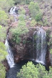 by kiwiaoraki, Views[180]