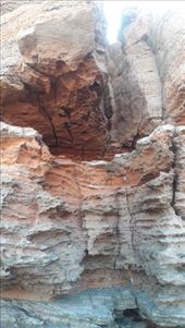 by kiwiaoraki, Views[283]