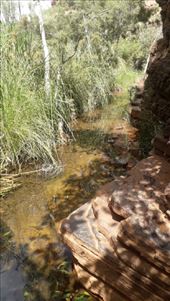 by kiwiaoraki, Views[170]