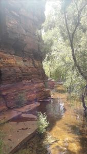 by kiwiaoraki, Views[186]