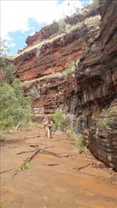 by kiwiaoraki, Views[176]