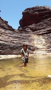 by kiwiaoraki, Views[87]