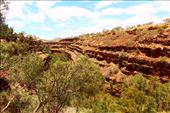 by kiwiaoraki, Views[94]