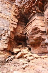 by kiwiaoraki, Views[86]