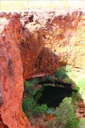 by kiwiaoraki, Views[82]