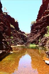 by kiwiaoraki, Views[72]