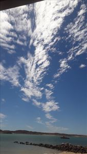 by kiwiaoraki, Views[190]