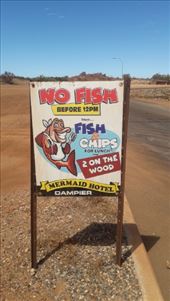 by kiwiaoraki, Views[204]