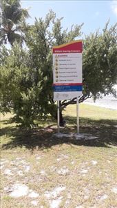 by kiwiaoraki, Views[82]