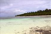 by kiwiaoraki, Views[89]