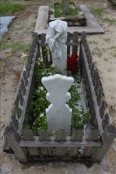 by kiwiaoraki, Views[104]