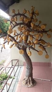 by kiwiaoraki, Views[187]