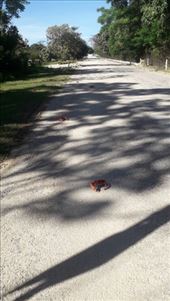 by kiwiaoraki, Views[121]