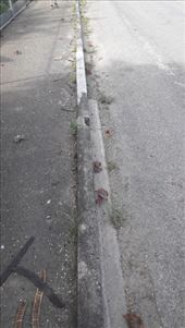 by kiwiaoraki, Views[68]