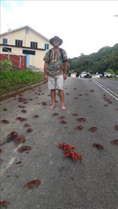 by kiwiaoraki, Views[78]