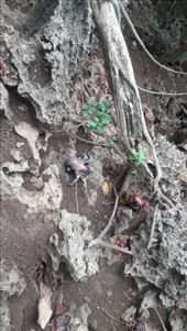 by kiwiaoraki, Views[84]