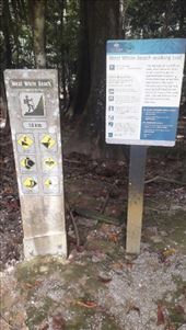 by kiwiaoraki, Views[75]