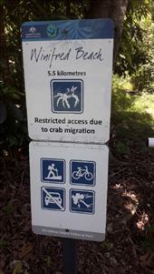 by kiwiaoraki, Views[70]