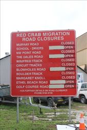 by kiwiaoraki, Views[81]