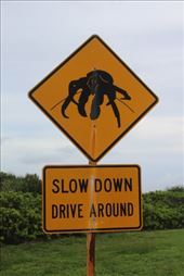 by kiwiaoraki, Views[71]